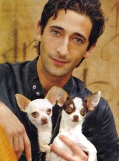 Собаки звезд и их знаменитые хозяева