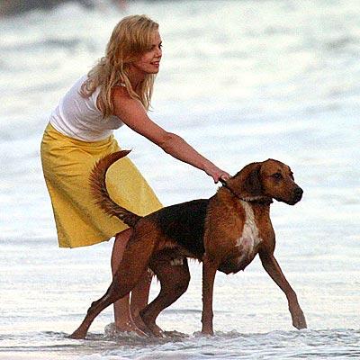 Собаки звезд и их знаменитые хозяева