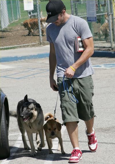 Собаки звезд и их знаменитые хозяева