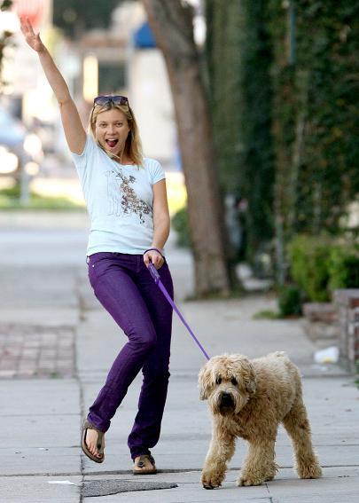 Собаки звезд и их знаменитые хозяева