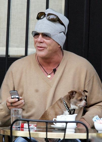 Собаки звезд и их знаменитые хозяева