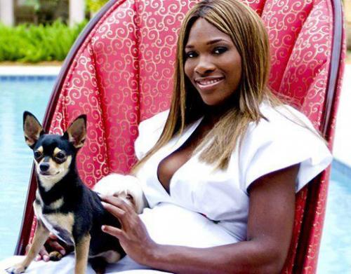 Собаки звезд и их знаменитые хозяева