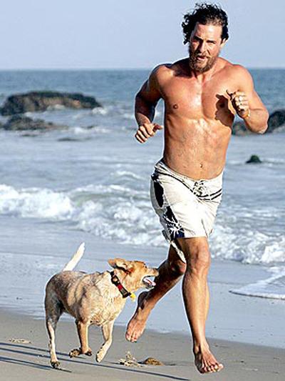 Собаки звезд и их знаменитые хозяева