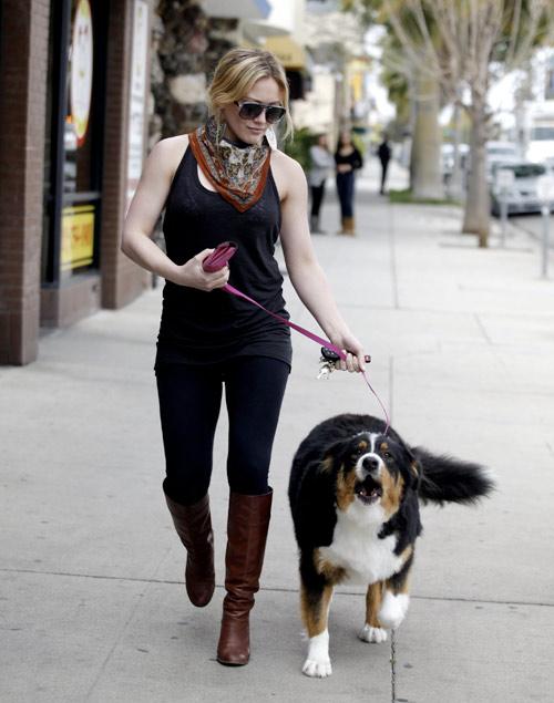 Собаки звезд и их знаменитые хозяева