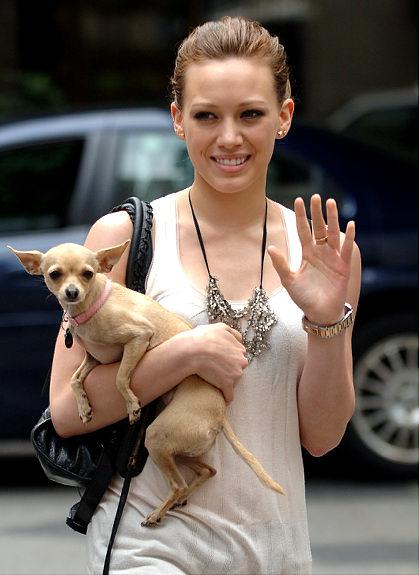 Собаки звезд и их знаменитые хозяева