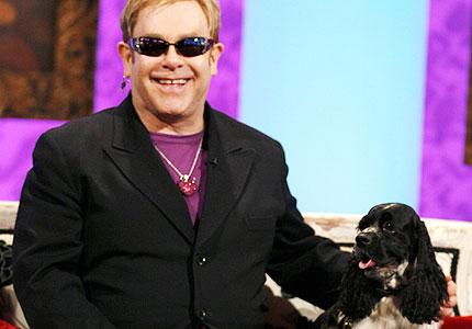 Собаки звезд и их знаменитые хозяева