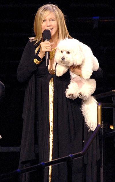 Собаки звезд и их знаменитые хозяева