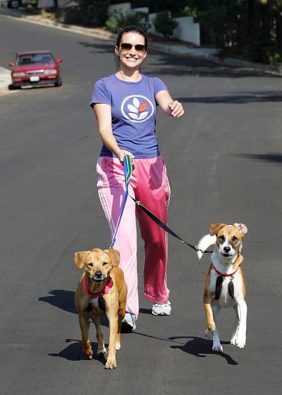 Собаки звезд и их знаменитые хозяева