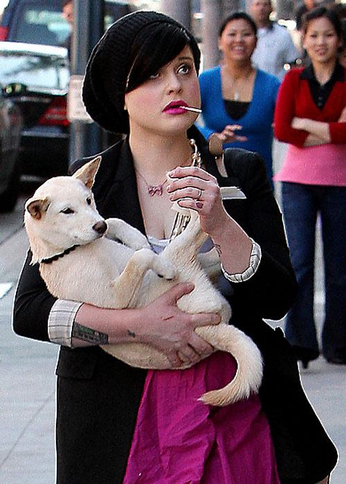 Собаки звезд и их знаменитые хозяева