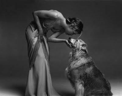 Собаки звезд и их знаменитые хозяева