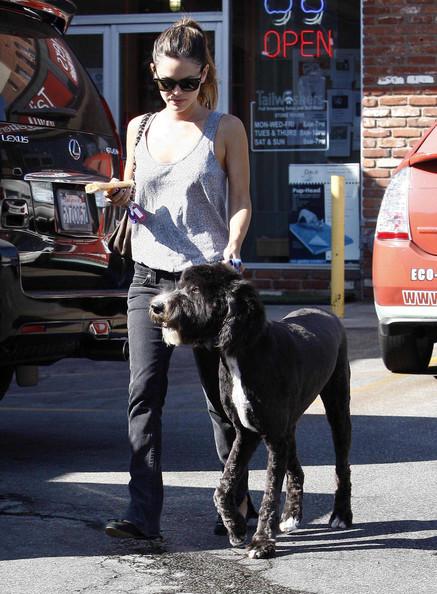 Собаки звезд и их знаменитые хозяева