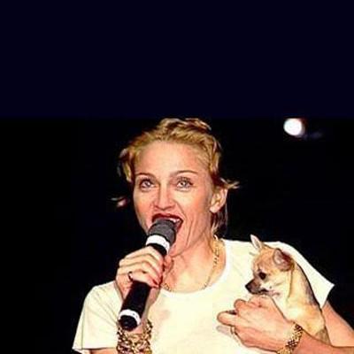 Собаки звезд и их знаменитые хозяева