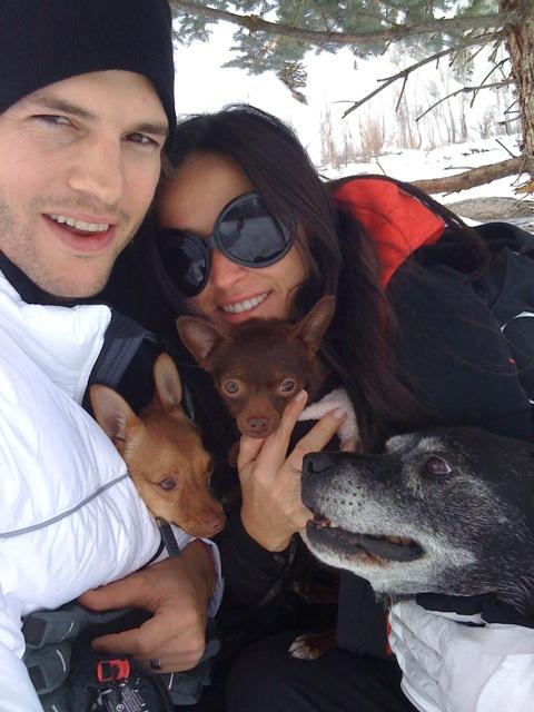 Собаки звезд и их знаменитые хозяева