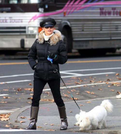 Собаки звезд и их знаменитые хозяева