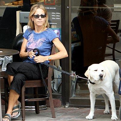 Собаки звезд и их знаменитые хозяева