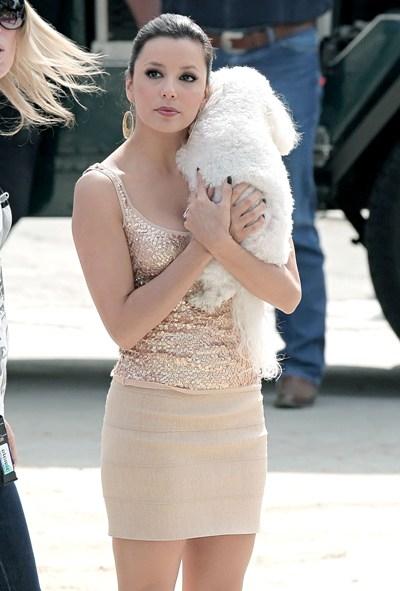 Собаки звезд и их знаменитые хозяева