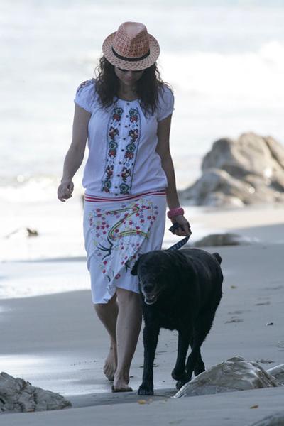 Собаки звезд и их знаменитые хозяева