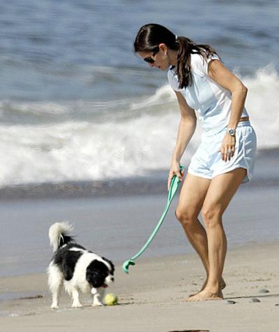 Собаки звезд и их знаменитые хозяева