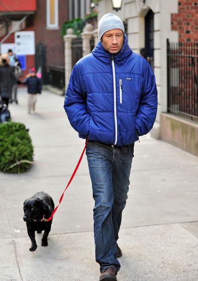 Собаки звезд и их знаменитые хозяева