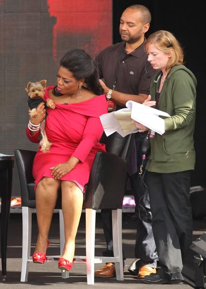 Собаки звезд и их знаменитые хозяева