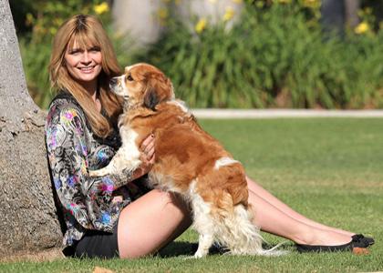 Собаки звезд и их знаменитые хозяева