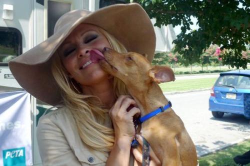 Собаки звезд и их знаменитые хозяева