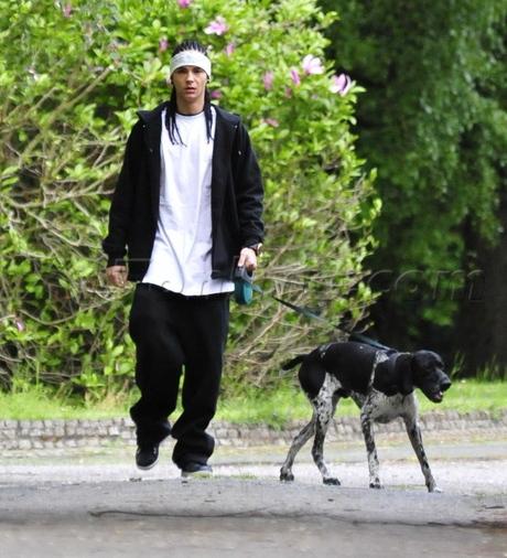 Собаки звезд и их знаменитые хозяева