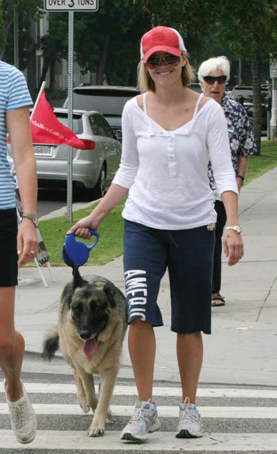 Собаки звезд и их знаменитые хозяева