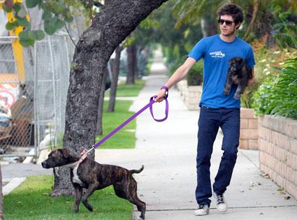 Собаки звезд и их знаменитые хозяева