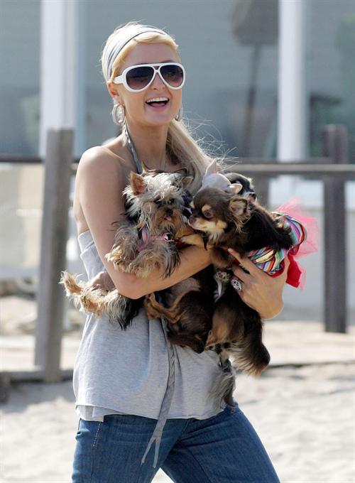 Собаки звезд и их знаменитые хозяева