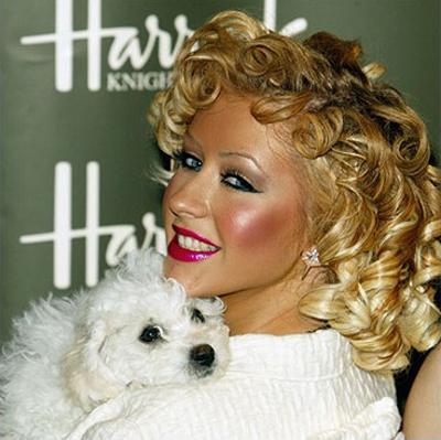 Собаки звезд и их знаменитые хозяева