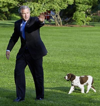 Собаки звезд и их знаменитые хозяева