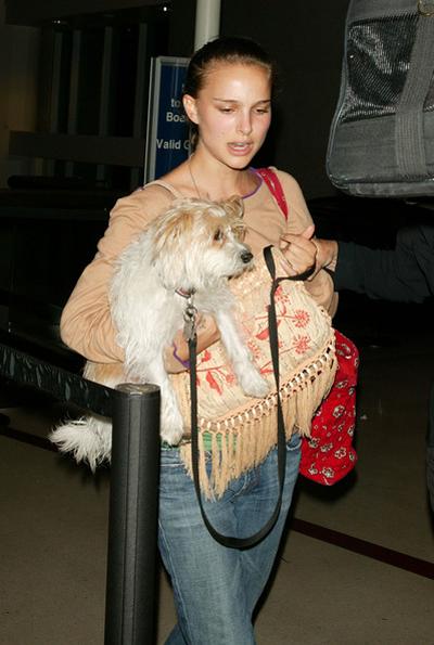 Собаки звезд и их знаменитые хозяева