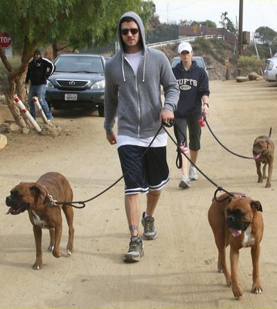 Собаки звезд и их знаменитые хозяева