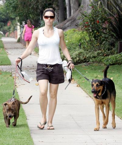 Собаки звезд и их знаменитые хозяева