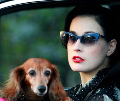 Собаки звезд и их знаменитые хозяева