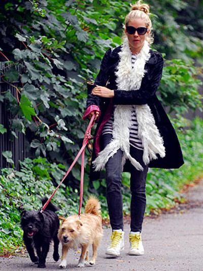 Собаки звезд и их знаменитые хозяева