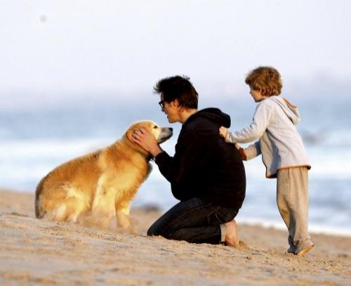 Собаки звезд и их знаменитые хозяева