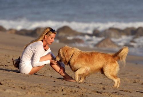 Собаки звезд и их знаменитые хозяева