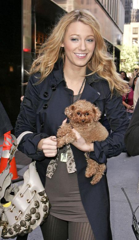 Собаки звезд и их знаменитые хозяева