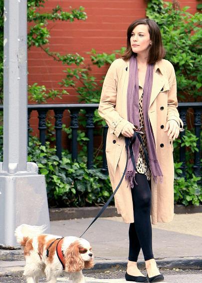 Собаки звезд и их знаменитые хозяева