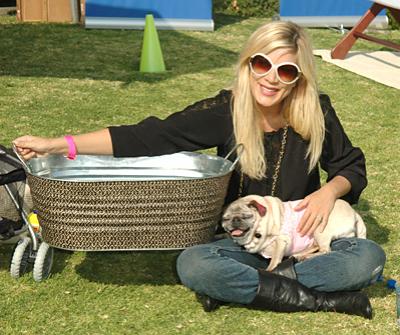 Собаки звезд и их знаменитые хозяева