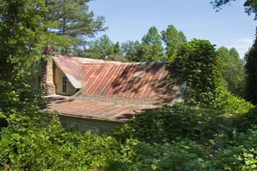 Хищное растение поглощает Америку