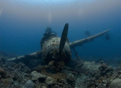 Фотопортал представил своих победителей