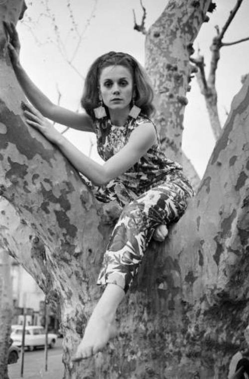 Молодые звезды, которые трагически ушли из жизни на взлете карьеры