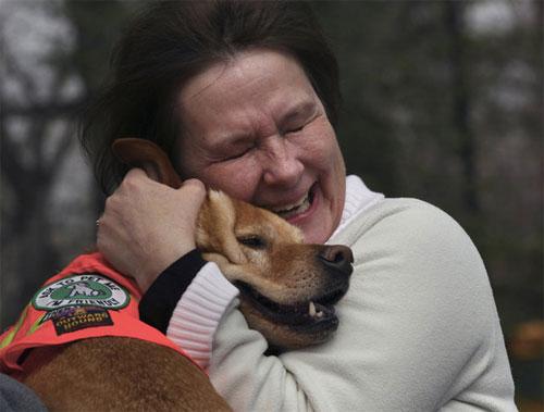 Двуногая собака Вера умеет ходить по-человечески