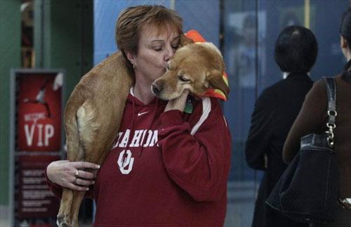 Двуногая собака Вера умеет ходить по-человечески