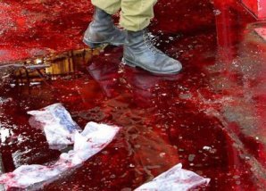 Самые удивительные погодные явления