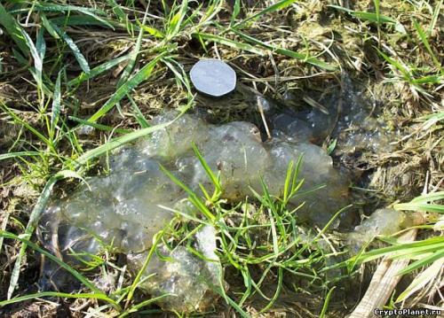 Самые удивительные погодные явления