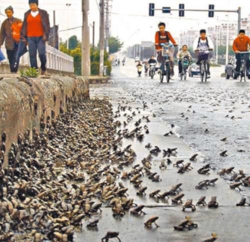 Самые удивительные погодные явления